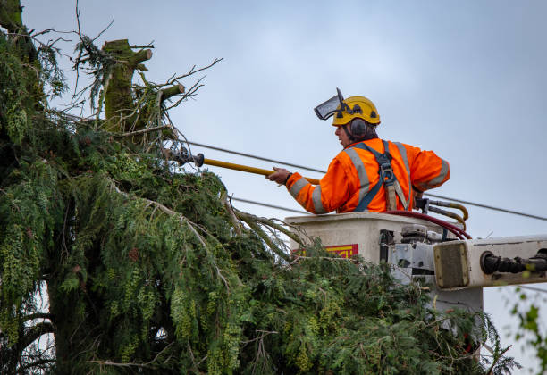 Best Utility Line Clearance  in Battle Ground, WA